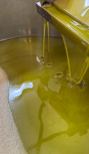 Carica l'immagine nel visualizzatore di Gallery, Olio Ecofattorie Sabine 2024, olio extravergine d'oliva edizione limitata