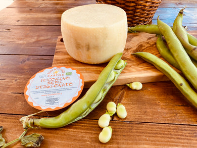 Pecorino Semistagionato da 1.2kg circa delicatissimo