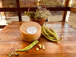 Pecorino Stagionato 14 mesi forma intera