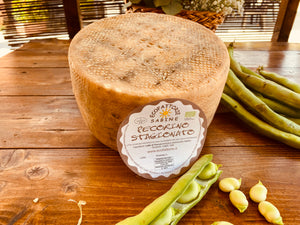 Pecorino Stagionato 14 mesi forma intera