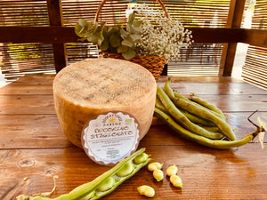 Pecorino Stagionato 14 mesi forma intera